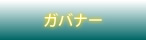 ガバナー